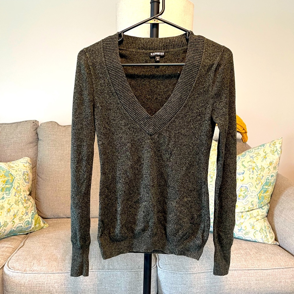 Express Long Sleeve Sweater